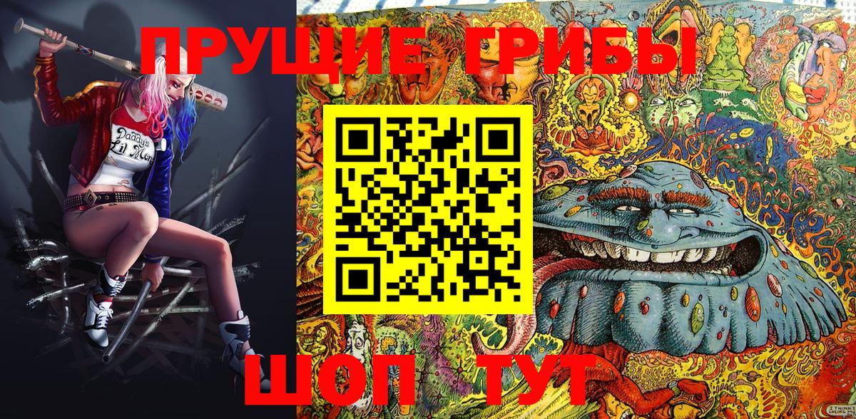 Майкоп  Псилоцибиновые грибы Psilocybe  Вход с VPN  Галлюциногенные грибы Psilocybe 