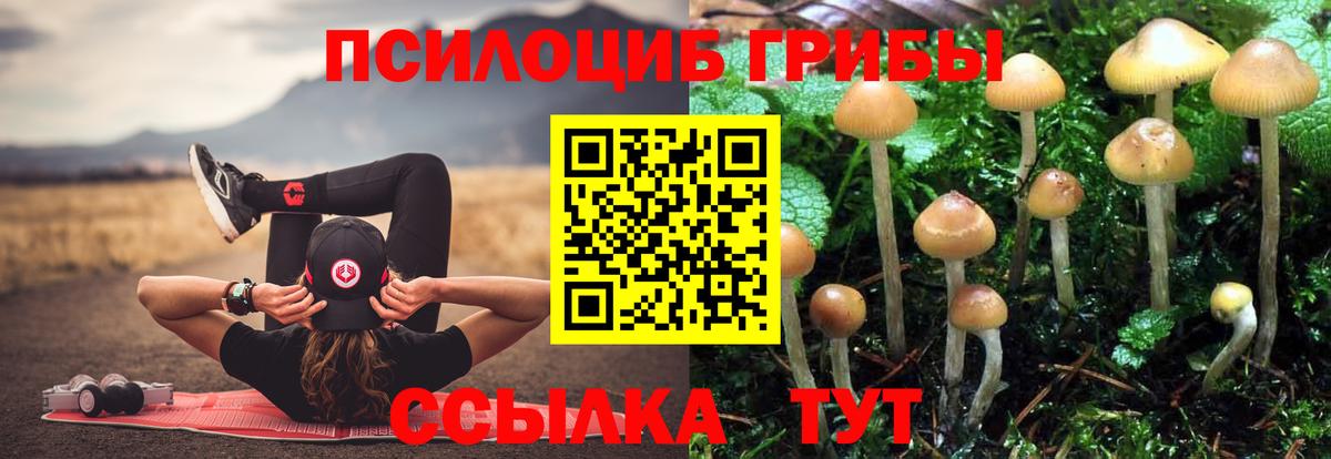 Галлюциногенные грибы GOLDEN TEACHER Майкоп